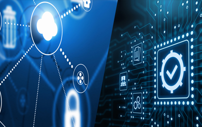 Adoption and governance