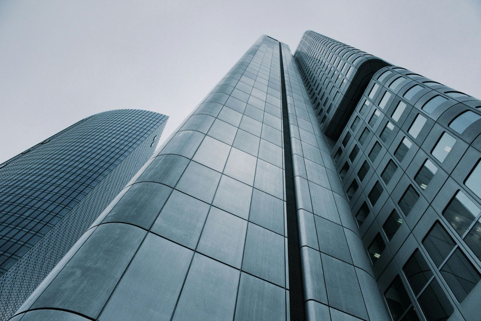 WBS in project management